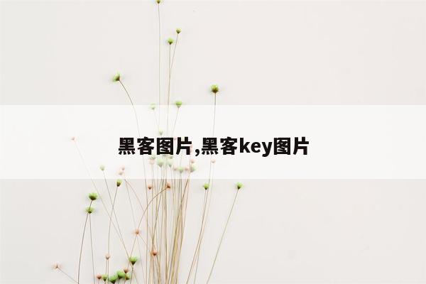 黑客图片,黑客key图片