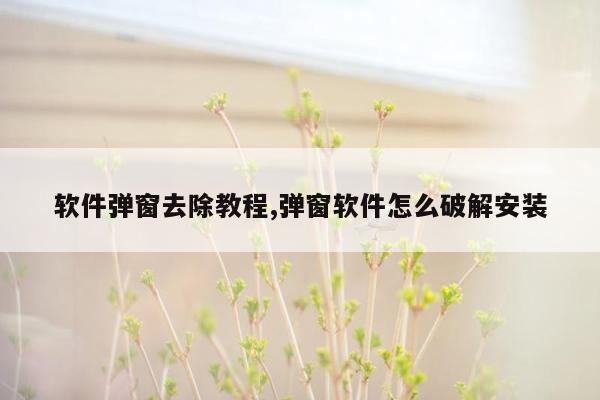 软件弹窗去除教程,弹窗软件怎么破解安装