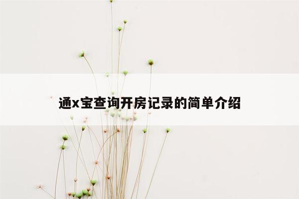 通x宝查询开房记录的简单介绍