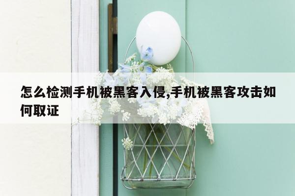 怎么检测手机被黑客入侵,手机被黑客攻击如何取证