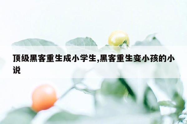 顶级黑客重生成小学生,黑客重生变小孩的小说