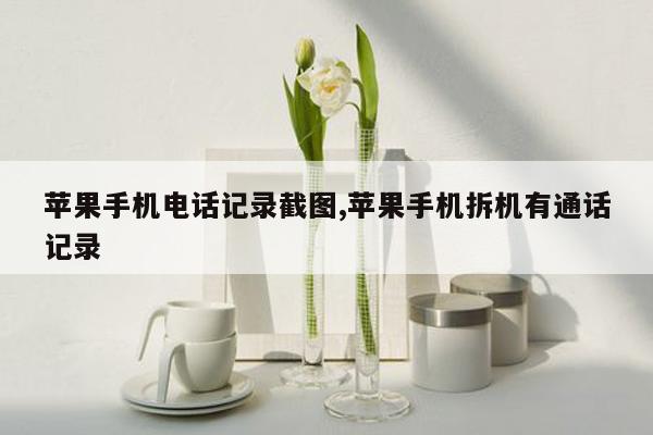 苹果手机电话记录截图,苹果手机拆机有通话记录