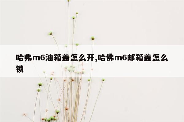 哈弗m6油箱盖怎么开,哈佛m6邮箱盖怎么锁