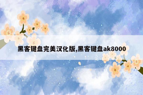 黑客键盘完美汉化版,黑客键盘ak8000