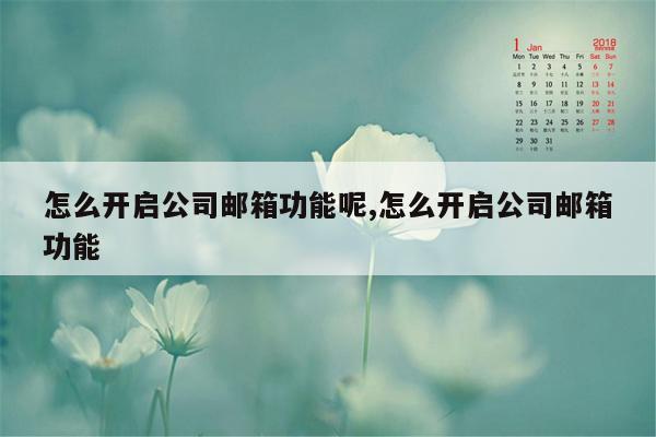 怎么开启公司邮箱功能呢,怎么开启公司邮箱功能