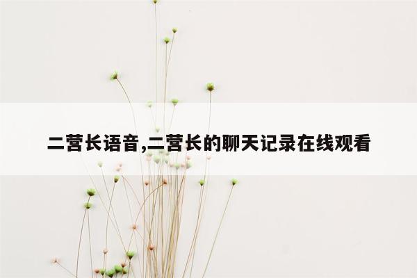 二营长语音,二营长的聊天记录在线观看