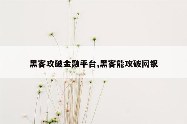 黑客攻破金融平台,黑客能攻破网银