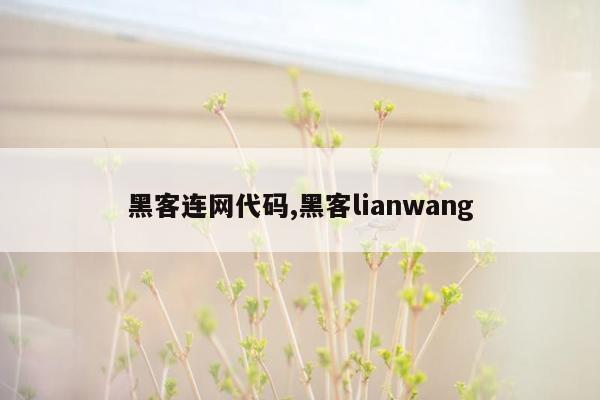 黑客连网代码,黑客lianwang