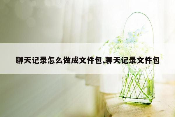 聊天记录怎么做成文件包,聊天记录文件包