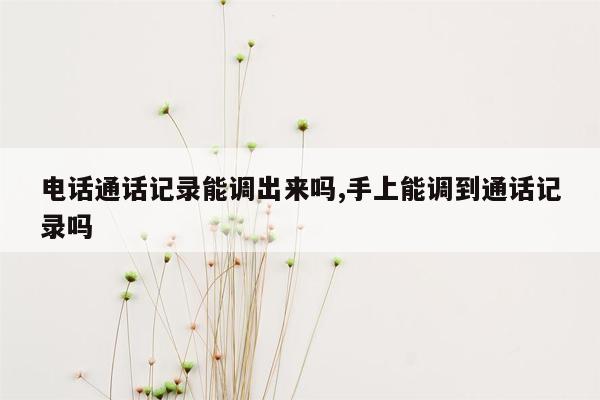 电话通话记录能调出来吗,手上能调到通话记录吗