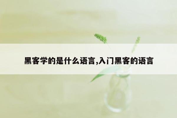 黑客学的是什么语言,入门黑客的语言