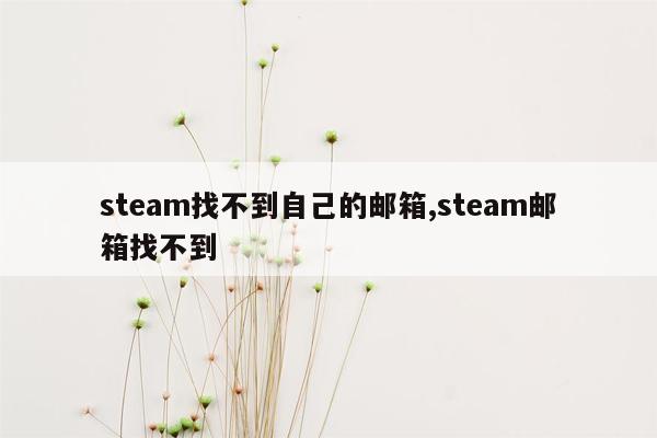 steam找不到自己的邮箱,steam邮箱找不到