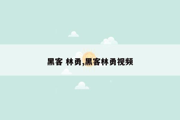 黑客 林勇,黑客林勇视频