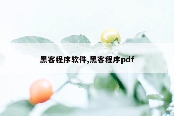 黑客程序软件,黑客程序pdf