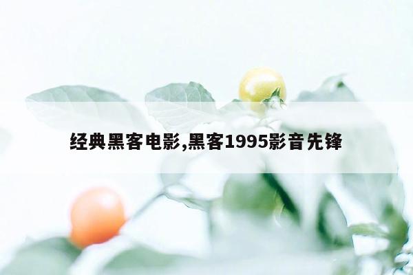 经典黑客电影,黑客1995影音先锋