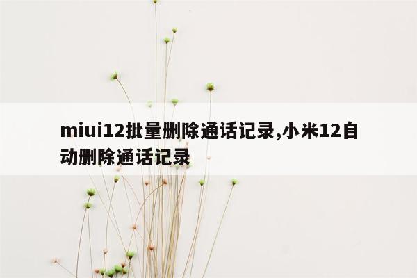 miui12批量删除通话记录,小米12自动删除通话记录