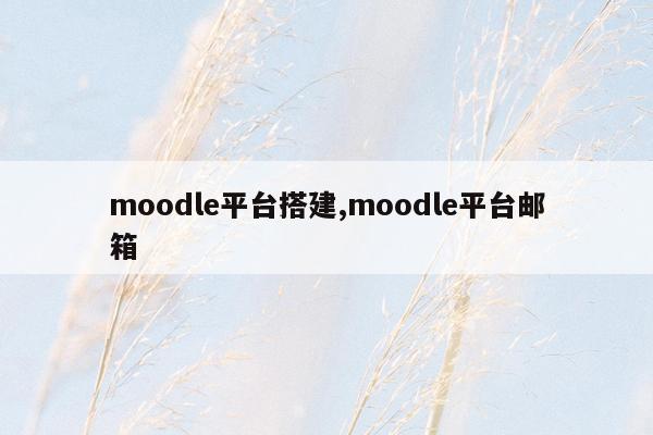 moodle平台搭建,moodle平台邮箱