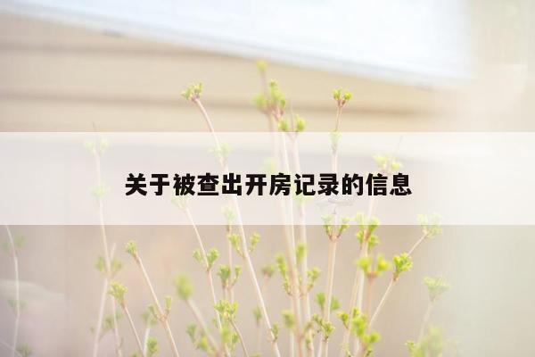 关于被查出开房记录的信息