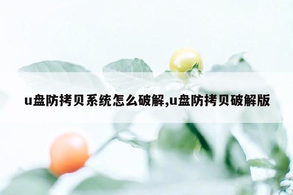 u盘防拷贝系统怎么破解,u盘防拷贝破解版