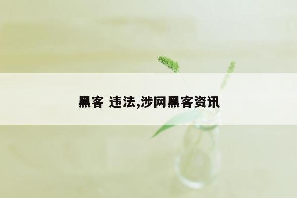 黑客 违法,涉网黑客资讯