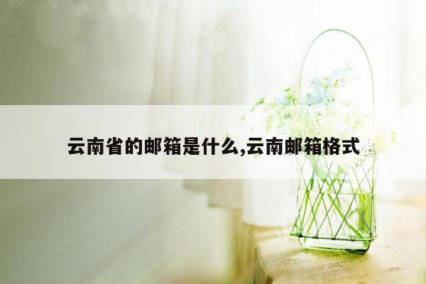 云南省的邮箱是什么,云南邮箱格式