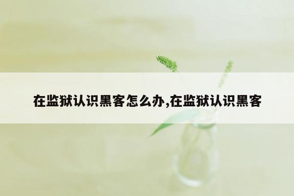 在监狱认识黑客怎么办,在监狱认识黑客