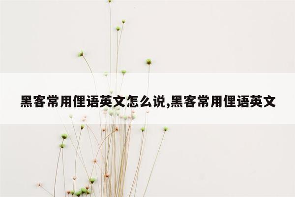 黑客常用俚语英文怎么说,黑客常用俚语英文