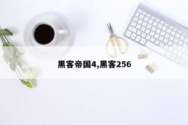 黑客帝国4,黑客256