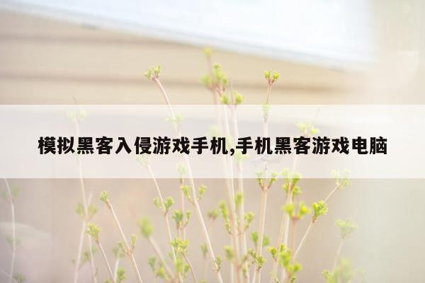 模拟黑客入侵游戏手机,手机黑客游戏电脑