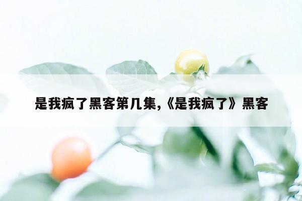 是我疯了黑客第几集,《是我疯了》黑客