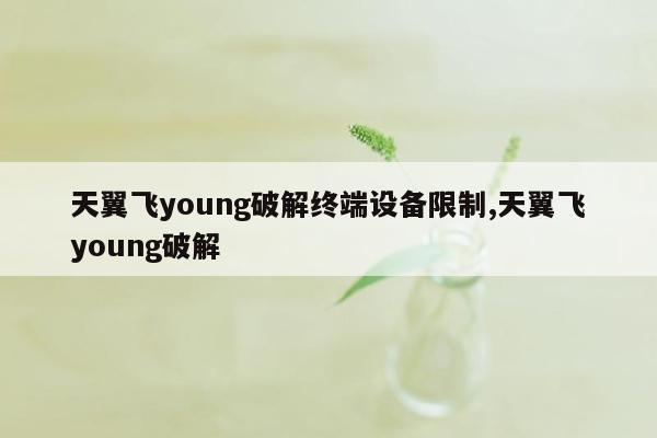 天翼飞young破解终端设备限制,天翼飞young破解