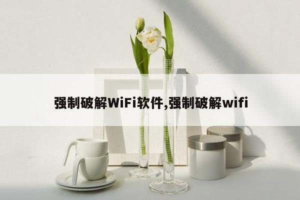 强制破解WiFi软件,强制破解wifi