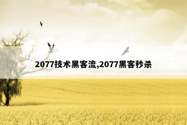 2077技术黑客流,2077黑客秒杀