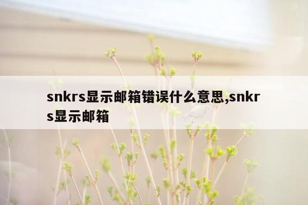 snkrs显示邮箱错误什么意思,snkrs显示邮箱