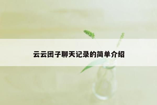 云云团子聊天记录的简单介绍