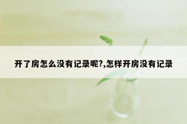 开了房怎么没有记录呢?,怎样开房没有记录