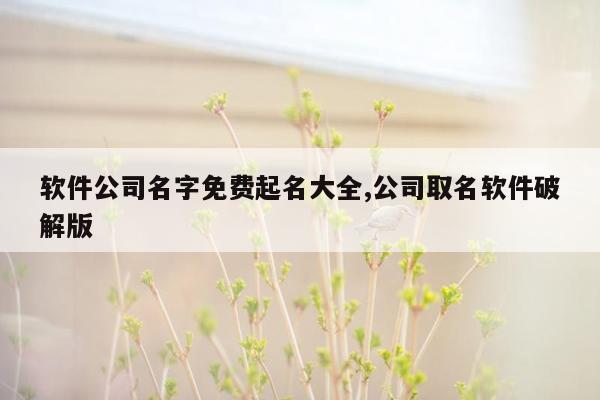 软件公司名字免费起名大全,公司取名软件破解版