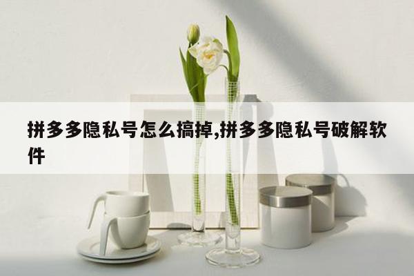 拼多多隐私号怎么搞掉,拼多多隐私号破解软件