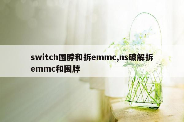 switch围脖和拆emmc,ns破解拆emmc和围脖