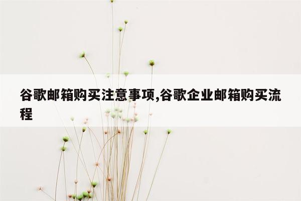 谷歌邮箱购买注意事项,谷歌企业邮箱购买流程