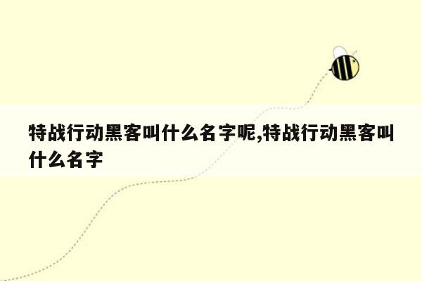 特战行动黑客叫什么名字呢,特战行动黑客叫什么名字