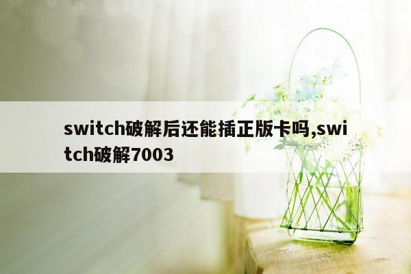 switch破解后还能插正版卡吗,switch破解7003