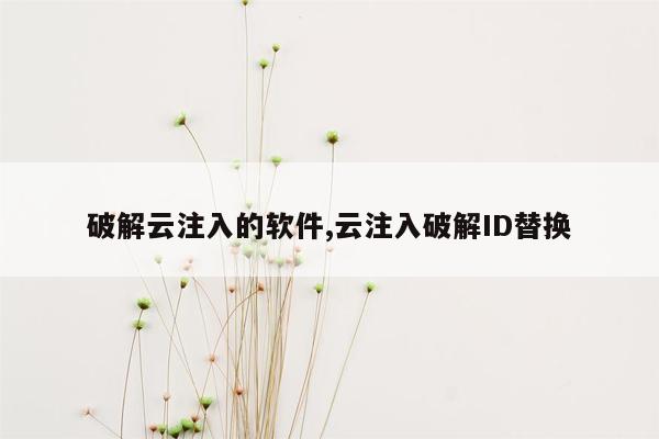 破解云注入的软件,云注入破解ID替换