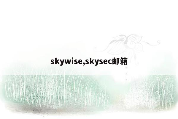 skywise,skysec邮箱