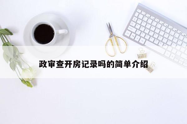 政审查开房记录吗的简单介绍