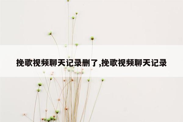 挽歌视频聊天记录删了,挽歌视频聊天记录