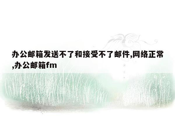 办公邮箱发送不了和接受不了邮件,网络正常,办公邮箱fm