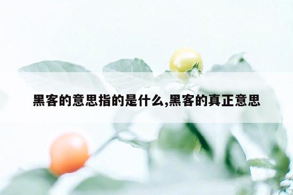 黑客的意思指的是什么,黑客的真正意思