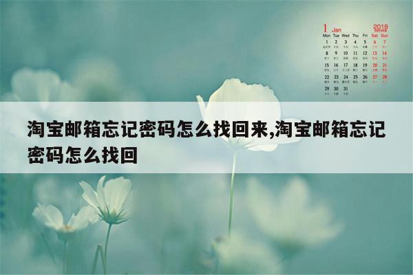 淘宝邮箱忘记密码怎么找回来,淘宝邮箱忘记密码怎么找回