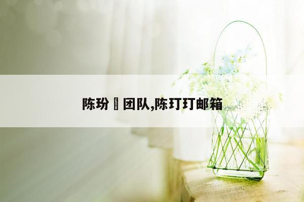 陈玢屾团队,陈玎玎邮箱